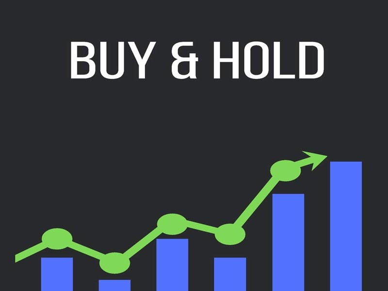 O que é o investidor adepto ao Buy and Hold?